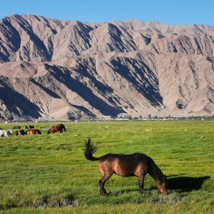 新疆乌鲁木齐+南疆+喀什市10日9晚私家团