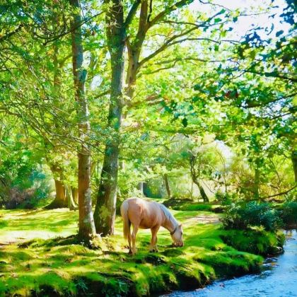 英国伦敦+剑桥+温德米尔镇+爱丁堡+约克+苏格兰高地+天空岛12日11晚拼小团