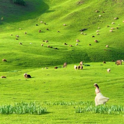赤峰+乌兰布统旅游区+玉龙沙湖5日4晚私家团