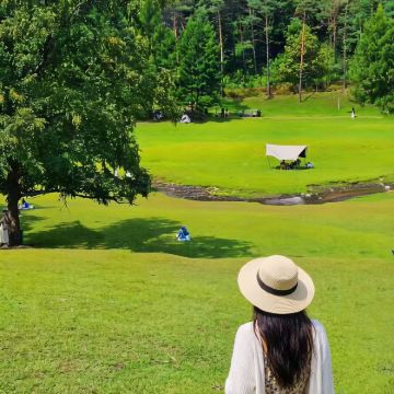 伊春+五大连池市4日3晚拼小团