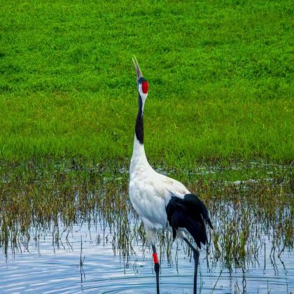哈尔滨+齐齐哈尔+五大连池市3日2晚私家团