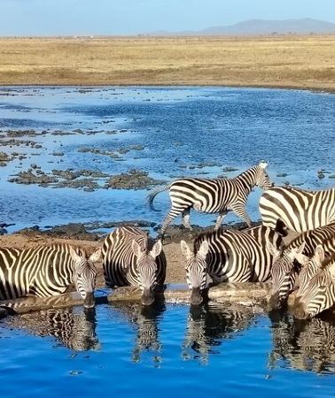 2D1N • Elky Tours 2 Days Tsavo East Tour