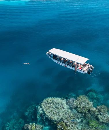 6D5N • Chinese-speaking Guide - Discover Palau | 3 Days of Sea Excursions + Jellyfish Lake - Milky Way Spa + 1 Day at Leisure | Palasia Hotel | Complimentary Half-Day City Tour - Transparent Paddleboard