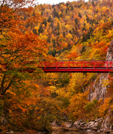 7D6N • Hokkaido autumn special: red leaf wonders at Akan Lake & Sounkyo: Otaru Canal stroll & Sapporo city experiences