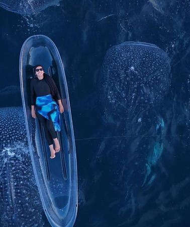 2D1N • From Lombok 2Day Whale Shark Tour with Senorkeling Best Tour