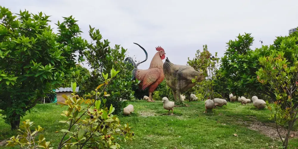 永安旅遊