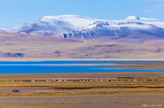 2021边坝好玩的旅游景点/游玩攻略_12月边坝短途/周边自驾游/出游