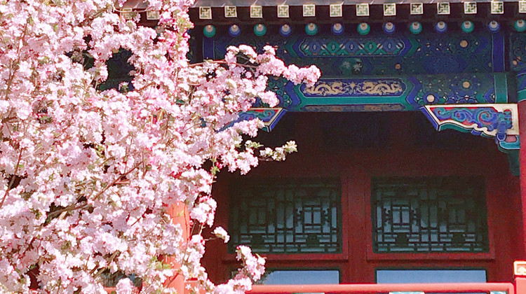 北京6日5晚私家团·梦回紫禁 提前7天下单免费代约博物馆 早定无忧约故宫【高分爆品新装亚朵&建国璞隐&漫心等；周一/五出发限时升级“1”环五钻东方茂酒店】 老北京导游精讲 核心5A景点全含 八达岭/慕田峪长城2选1