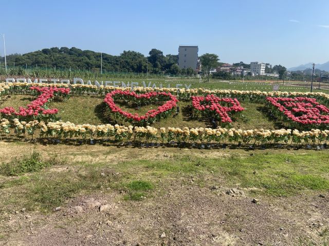 丹凤谷旅行图片 2