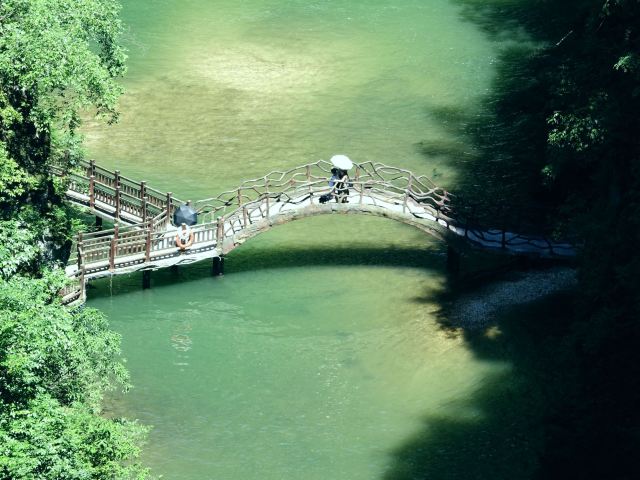 洒金公园旅行图片 3