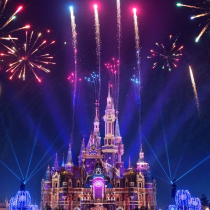 上海+迪士尼（Disney）+上海博物馆4日3晚私家团