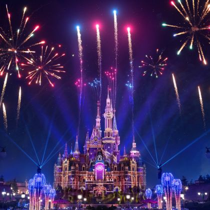 上海+迪士尼（Disney）+上海博物馆4日3晚私家团