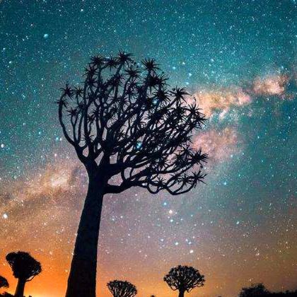 纳米比亚鲸湾港+博茨瓦纳乔贝国家公园+津巴布韦+维多利亚瀑布+赞比亚11日8晚私家团