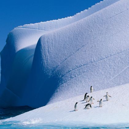 南极洲+阿根廷+巴西+智利+乌拉圭+秘鲁36日跟团游