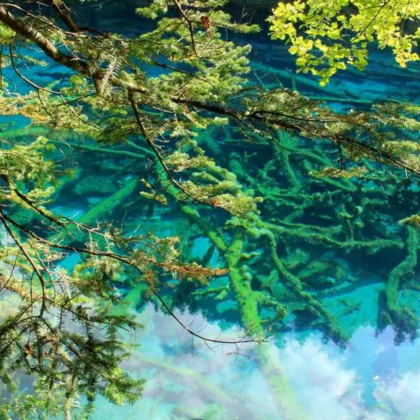 黄龙风景名胜区+九寨沟风景区2日1晚跟团游