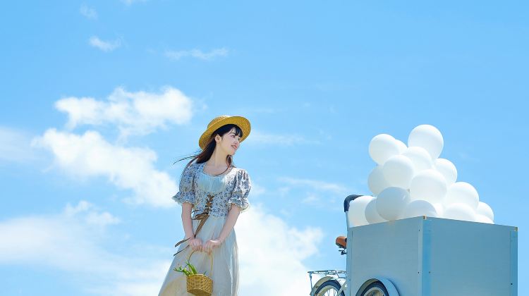新疆乌鲁木齐+北疆10日9晚跟团游·暑期放价+22人团+升1+1+满10人派随团讲解+宿温德姆/亚朵+禾木/喀纳斯+旅拍+独库公路
