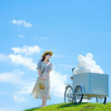 新疆乌鲁木齐+北疆10日9晚跟团游