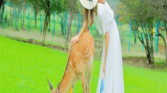 神农架、宜昌+2