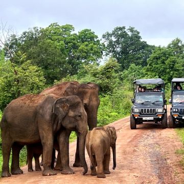 斯里兰卡7日6晚拼小团