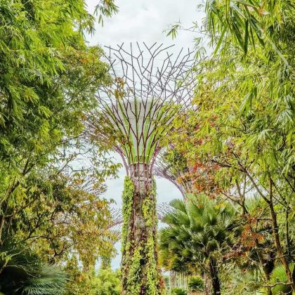 新加坡5日4晚拼小团