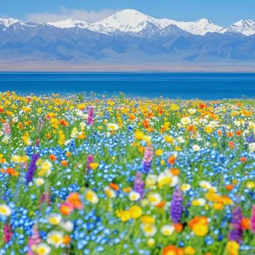 青海湖景区+茶卡盐湖+卓尔山+张掖七彩丹霞旅游景区4日3晚拼小团