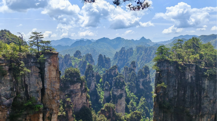 张家界+天门山3日2晚拼小团·6人超V小团&享6大VIP通道&耳麦讲解|赠百龙天梯+杨家界往返索道+7455米天门山索道|宿碧桂园豪华房+满4成人升碧桂园别墅+可选野奢民宿观日出【商务保姆车+湘西特色餐】二进武陵源+苗服换装