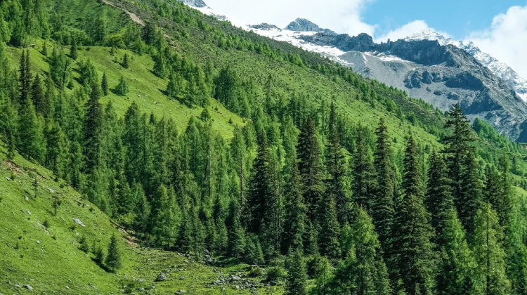 8-day 7-night · Private Tour · Chengdu + Daocheng Yading + Mount Siguniang + Moshi Park Scenic Area + Yuzixi + Xinduqiao Town