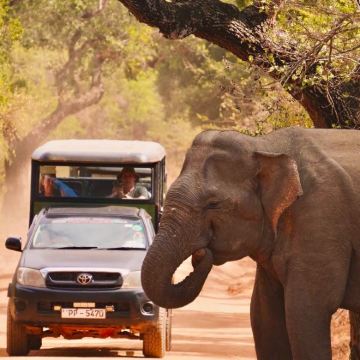 马尔代夫+斯里兰卡13日11晚私家团
