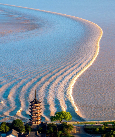 3D2N • China + Jiaxing + Shanghai