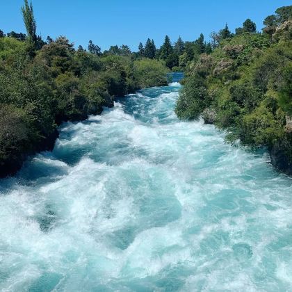 新西兰北岛+罗托鲁瓦+陶波6日4晚私家团