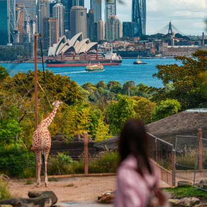 澳大利亚悉尼+墨尔本+蓝山+菲利普岛13日10晚拼小团