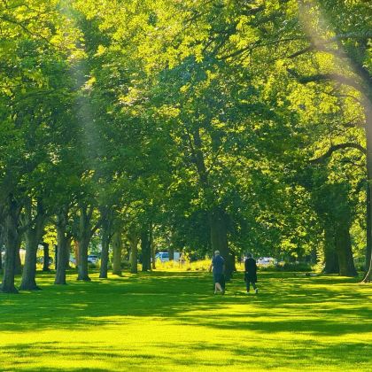 新西兰南岛+皇后镇+特卡波湖+瓦纳卡+达尼丁10日9晚私家团