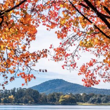 悉尼+堪培拉+奥尔伯里+墨尔本10日9晚私家团