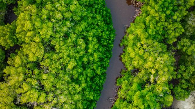 <8天>【独家必发！2人成团+16人中文小团】秘鲁尊享型酒店·4天亚马逊热带雨林+马丘比丘+印加圣谷（盐田+梯田）+市区深度游（库斯科+利马）+入住热水镇（含10正餐+全程早餐）+含内陆机票+火车票