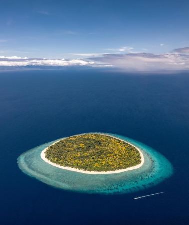 2D1N • Bohol Highlights Day Tour: Dolphin Watching + Balicasag Wall Snorkeling + Virgin Island Sandbar + Chocolate Hills + Loboc River Cruise + Tarsier Sanctuary Visit