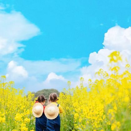 江西南昌+庐山风景名胜区+景德镇+婺源+三清山风景区+望仙谷6日5晚私家团