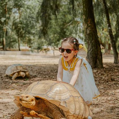 万宁+陵水5日4晚拼小团