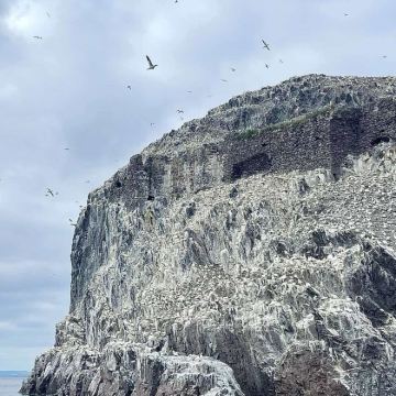 苏格兰+爱丁堡+圣安德鲁斯城堡+动感地球展示馆7日6晚拼小团