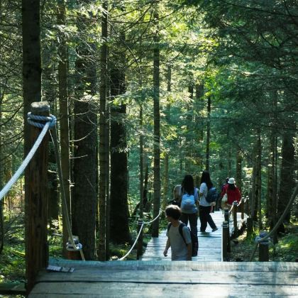 长春+延吉+长白山+哈尔滨+伊春+五大连池市+漠河12日11晚跟团游