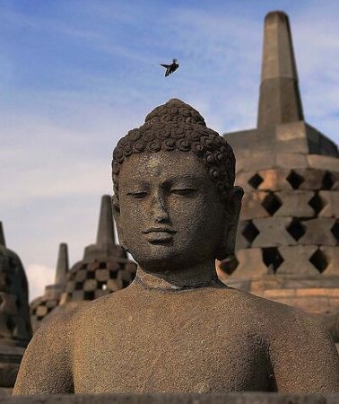 5D4N • 5 Days Borobudur Prambanan Tumpaksewu Bromo Ijen to Bali Private
