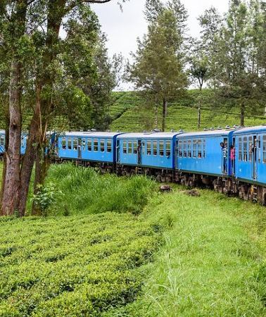 4D3N • 4 Days Tour to Kandy, Sigiriya & Nuwara Eliya