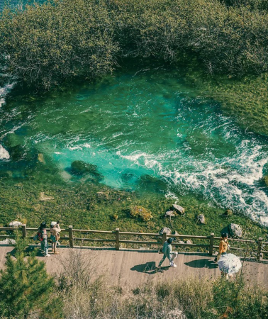8D7N • Leshan+Mount Emei+Round-trip high-speed rail from Chengdu to Jiuzhaigou with tickets included, professional tour guide service, 5-diamond hotel,