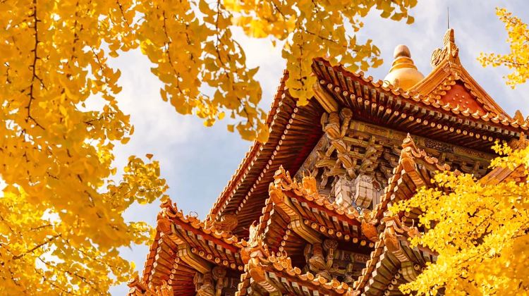 4-Day Ancient capital Beijing 4-day exclusive private journey