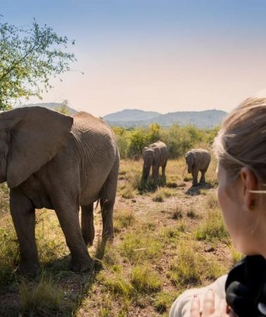 3D2N • Zanzibar or Dar es Salaam: 3-Day Wildlife Safari Experience