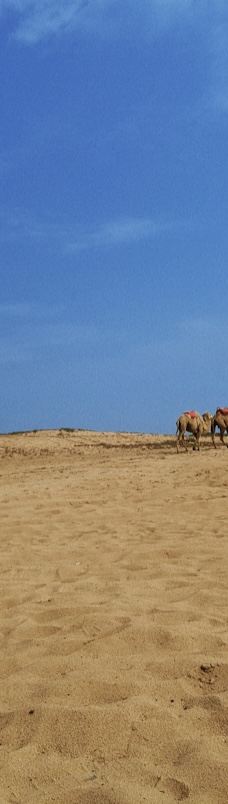 厚田沙漠-南昌