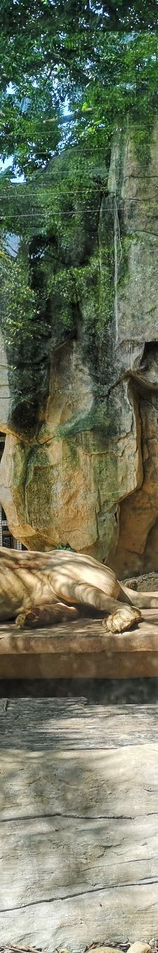 南宁动物园-南宁