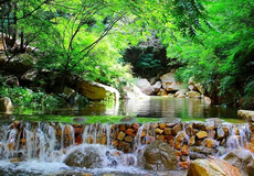 天津+蓟州区2日1晚跟团游·【周末蓟县热卖~纯玩0购物】游“天津的神农架”-梨木台 (含往返摆渡车)+打卡网红景点—蓟州溶洞景区+渔阳古街+吃住农家含三餐+轻松有氧呼吸之旅