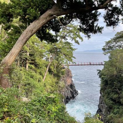 日本东京+河口湖+箱根+伊豆8日7晚私家团