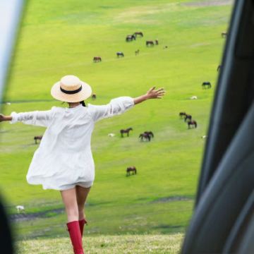 哈尔滨+伊春+五大连池市+黑河+塔河+漠河+北极村+根河+额尔古纳+黑山头镇+满洲里+呼伦贝尔+呼伦贝尔大草原+齐齐哈尔10日9晚跟团游