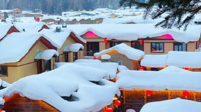 5-Day Northern Utopia Snow Adventure Harbin Private Tour·Songhua River, Central Street, China Harbin Ice And Snow World, Siberia Tiger Park and Yabuli Ski Resort